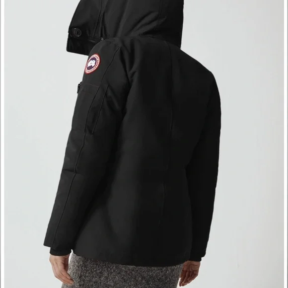 Canada goose. Montebello heritage